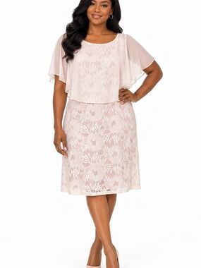 NEW. ..Floral Lace Overlay A-Line Dress in Blush